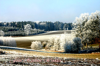 Landschaft Alteglofsheim