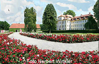 Schloss Kfering - Rosenspalier Zufahrt zum Schloss